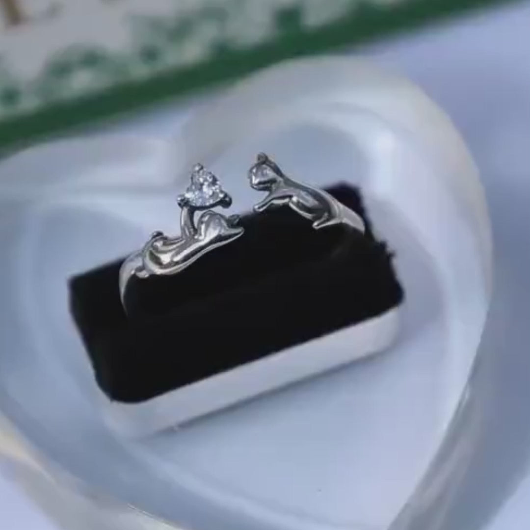 S925 Silver "Love Story" Ring